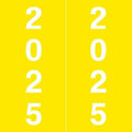 2025 Year Labels, Doctor Stuff 2025 Chart Stickers, IFC AFV Style, USA Made by DoctorStuff