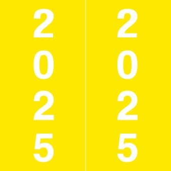 2025 Year Labels, Doctor Stuff 2025 Chart Stickers, IFC AFV Style, USA Made by DoctorStuff