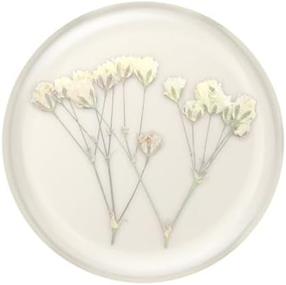 PopSockets Adhesive Phone Grip, Holder- Baby's Breath - Image 5