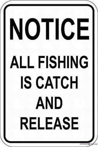 Indication Warning Sign Notice All Fishing is Catch and Release Wall Art Outdoor Indoor 12x8 Inches New Aluminum Metal tin Sign by Eletina
