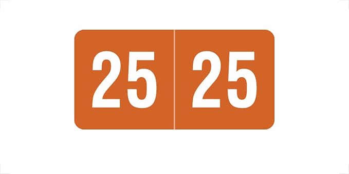 2025 MINI Year Stickers, Compatible by DoctorStuff
