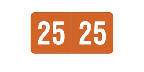 2025 MINI Year Stickers, Compatible by DoctorStuff