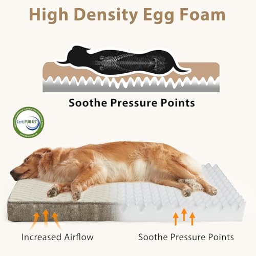 JOEJOY Orthopedic Dog Bed for Large Dogs, Washable Dog Crate Bed Large Sized with Removable Cover, Egg Memory Foam Big Pet Beds, Beige, 35"x22" - Image 3