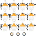 80W LED Temporary Work Light, Outdoor LED Construction Light 15000LM 12Pack by KUKUPPO-ProfessionalLEDLightsManufacturerprovidesmanykindsofhighqualitylightsapplicationforfactoryhomegardenindooroutdoorandetc