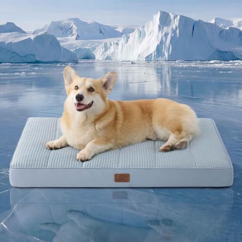 Bedsure Cooling Dog Bed for Crate, Large Breathable Pet Summer Bed, 35 Inch by BEDSURE