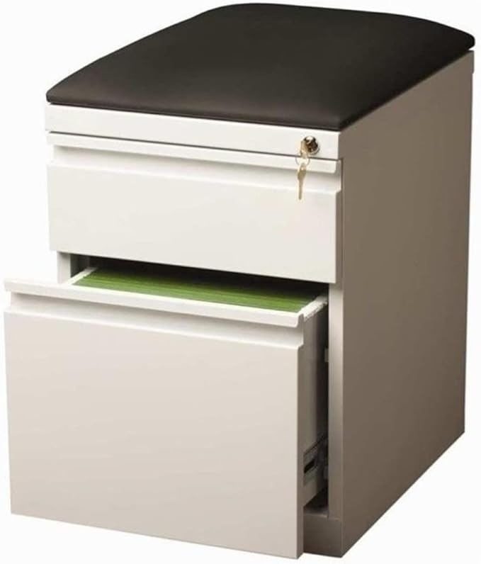 Pemberly Row 2-Drawer Metal Mobile Pedestal Filing Cabinet in White/Black - Image 5