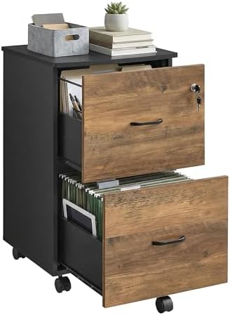 VASAGLE 2-Drawer File Cabinet, Small Rolling, Locking, Printer Stand by Unknown