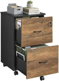 VASAGLE 2-Drawer File Cabinet, Small Rolling, Locking, Printer Stand by Unknown