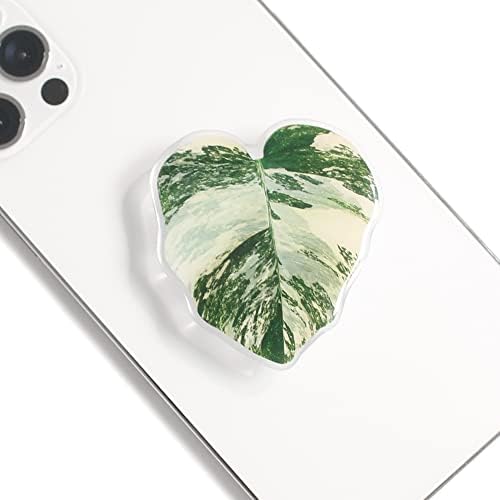 OnTheGrip Cute Acrylic Tropical Leaf Design Collapsible Expandible Mobile Phone Grip Stand Holder for Smartphone Tablet Cell Phone Accessory (Monstera Deliciosa) by OnTheGripofficial