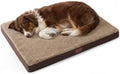 Bedsure Washable Dog Beds Large Sized Dog with Comfy Sherpa, 36x27in Brown by BEDSURE