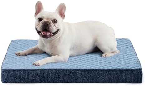 JOEJOY Orthopedic Dog Bed for Small Dogs, Washable Dog Crate Bed Small Sized with Removable Cover, Egg Memory Foam Pet Beds, Blue, 23"x17" by JOEJOY