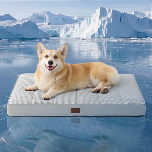 Bedsure Cooling Dog Bed for Crate, Large Breathable Pet Summer Bed, 35 Inch by BEDSURE