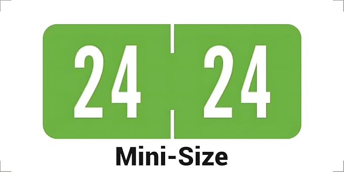 2024 Small Year Labels, Doctor Stuff 2024 Chart Stickers, Light Green Color by DoctorStuff