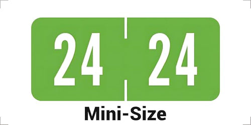 2024 Small Year Labels, Doctor Stuff 2024 Chart Stickers, Light Green Color by DoctorStuff