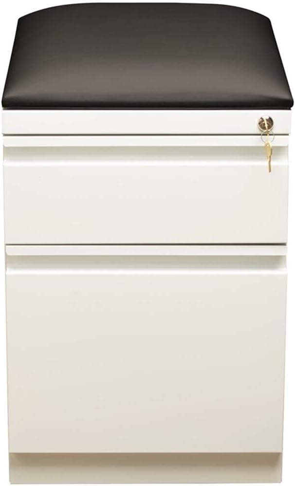 Pemberly Row 2-Drawer Metal Mobile Pedestal Filing Cabinet in White/Black - Image 4