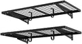 FLEXIMOUNTS 2 Pack 2x4ft Garage Storage with 4 Hooks, Black by FLEXIMOUNTS