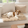 Bedsure ComfyFleece™ Washable Dog Crate Pad,Soft Fluffy Medium Pet Mat,30" by BEDSURE