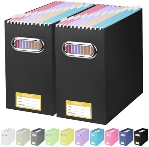 BALEINE 2PK File Organizer Box, Cardboard File Folder Organizer with Handle by BALEINE