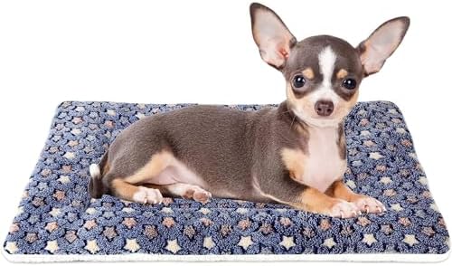 Mora Pets Dog Bed Crate Pad Ultra Soft Pet Mat Star Print 22 Inch Blue by MoraPets