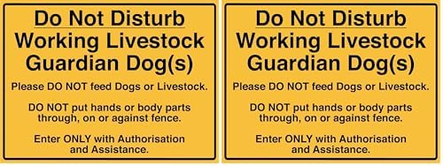 Do Not Disturb Working Livestock Guardian Dog Sign Metal Tin Sign 8x12 Inches (Pack of 2) by MUZUPUTS
