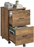 VASAGLE 2-Drawer File Cabinet, Small Rolling, Locking, Printer Stand by VASAGLEbySONGMICSHOME
