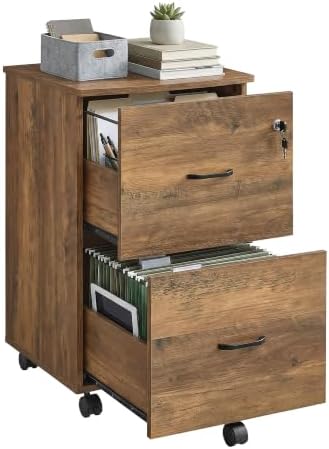 VASAGLE 2-Drawer File Cabinet, Small Rolling, Locking, Printer Stand by VASAGLEbySONGMICSHOME