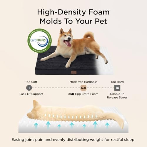 Bedsure ComfyFleece Small Dog Bed with Washable Cover, 23x17 Cat Puppy Bed - Image 3