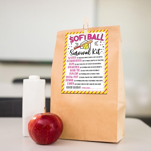 Softball Survival Kit Gift Tags, Softball Gift Label, You're a Home Run Valentine Favor Tags for School Class and Team -KAB05 - Image 3