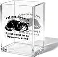 Funny Cat Office Acrylic Cosmetic Pen Pencil Holder Cup, I'll Get Over It I Just Need to Be Dramatic First Cute Pencil Organizer, Humor Desk Decor, Emotional Support Gifts for Women Men （A28） by Unknown