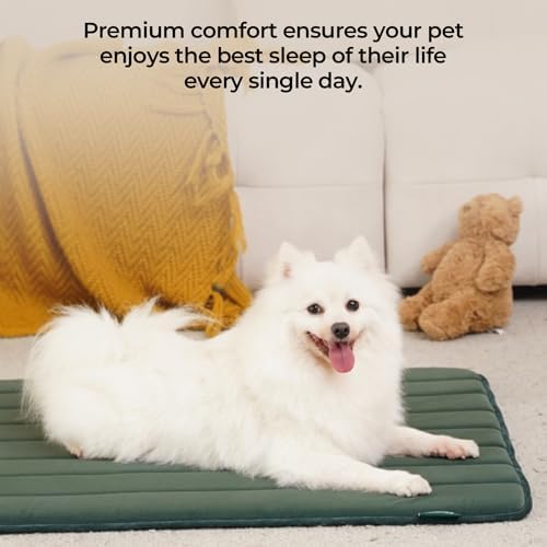BALANCE Dog Crate Pad, Dog Foam Crate Mat Kennel Pad, Washable Water-Resistant Pet Bed Flat Dogs Cage Mat for X-Large Dogs - Image 2