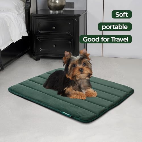 BALANCE Dog Crate Pad, Dog Foam Crate Mat Kennel Pad, Washable Water-Resistant Pet Bed Flat Dogs Cage Mat for Small Dogs - Image 2