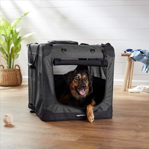 Amazon Basics Portable Soft Pet Dog Crate Carrier Kennel with Mesh Windows, Foldable, 30 x 21 x 21 inches, Black - Image 5