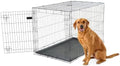 Carlson Pet Products Secure and Foldable Single Door Metal Dog Crate, Extra Large by Carlson%C2%AEPetProducts