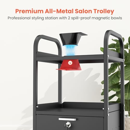 TASALON Metal Salon Trolley Cart with Wheels & Lockable Drawers – 4-Tier Hair Stylist Rolling Tray Cart, Barber & Esthetician Station Organizer, Beauty Salon Equipment & Spa Storage Cabinet - Image 2