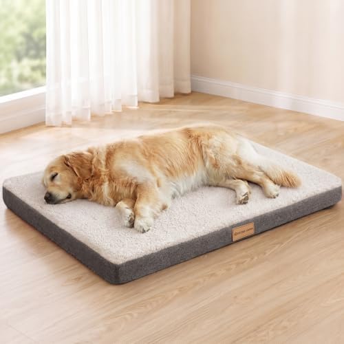 Patas Lague Orthopedic Large Dog Bed Washable Pet Sofa Mat 56''X40'' Ivory by PatasLague