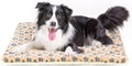 Mora Pets Dog Crate Pad Bed Ultra Soft Pet Mat Star Print Brown 35 x23 Inch by MoraPets