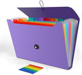 Accordion File Organizer, Expanding File Folder for Sorting Documents and Papers, 13 Pockets File Storage Organizer for Home, Travel and Office Use, Hospital Bag Essentials (Purple) by Weovepaw