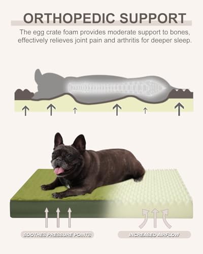 KSIIA Orthopedic Dog Bed for Small Dogs with Waterproof Lining, Green,23x17 - Image 2