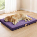 Patas Lague Orthopedic Medium Dog Bed Pet Sofa Mat 30''X20'' Purple by PatasLague