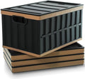 Citylife 4PC 64L Collapsible Storage Bins with Lids, Collapsible bins by CITYLIFEHomeOrganization