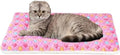 Mora Pets Cat Bed Ultra Soft Dog Crate Pad Star Print 14 x 17.5 inch Pink by MoraPets