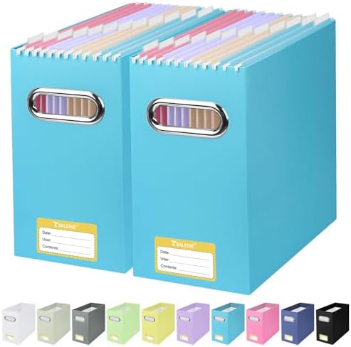 BALEINE 2PK File Organizer Box, Cardboard File Folder Organizer with Handle by BALEINE
