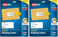 Avery Shipping Labels, 2" x 4", White, 250 Labels | Sure Feed Technology | Pack of 2 | Model 8163 by Avery