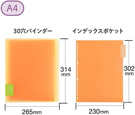 Far East Pape rules Brew Orange A4 binder system wide 30 hole (japan import) - Image 3