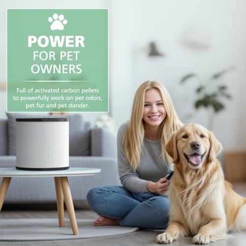 2 Pack TP01 Filter Replacement for Dyson Tower Purifier Pure Cool Link - Image 6