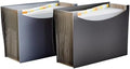 Amazon Basics Expanding Organizer File Folder for Documents, Letter Size, 13 Pockets, Waterproof, Black & Gray, 2-Pack by AmazonBasics