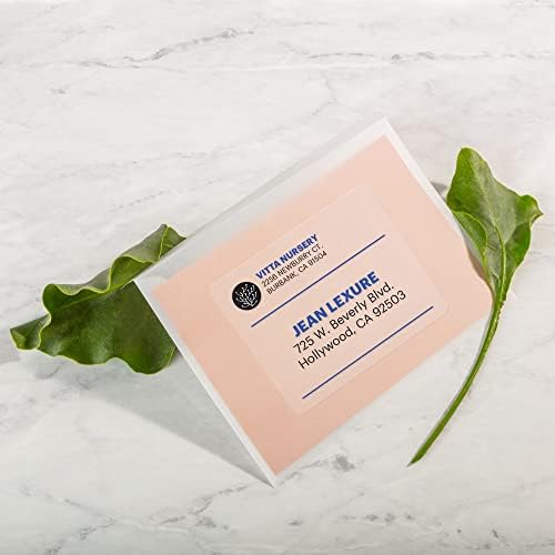 Avery Printable Shipping Labels with Sure Feed, 2" x 4" Customizable Stickers, Matte Clear, 250 Blank Mailing Labels, Great for Mailing, Shipping, and More (8663) - Image 2