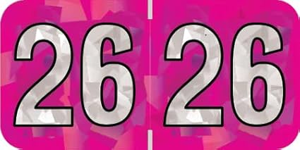 2026 Year Stickers, Doctor Stuff 2026 Chart Stickers, Holographic Fuchsia by DoctorStuff