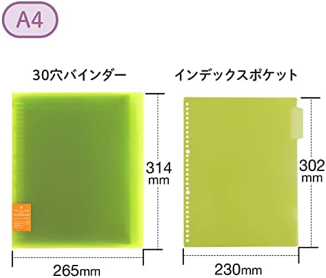 Far East Pape rules Brewster Green A4 binder system wide 30 hole (japan import) - Image 3