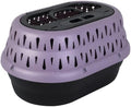 Petmate Top Load Plastic Cat Kennel, One-Door, 19in, Purple by Petmate